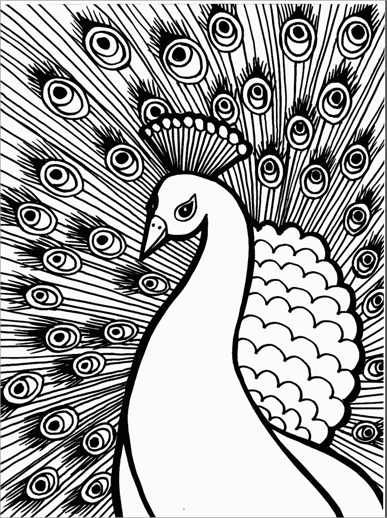 peacock-coloring-pages-to-print-coloringbay