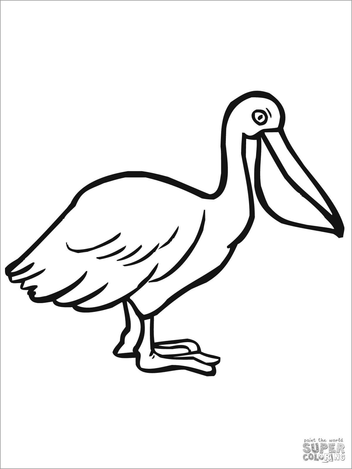 Pelicans Coloring Pages for Kids