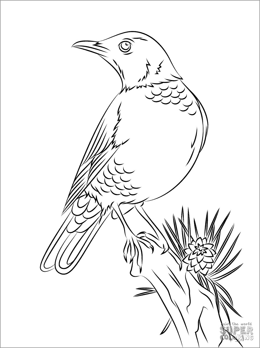 Robins Coloring Pages