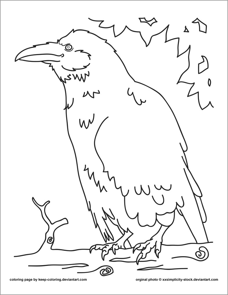 Perched Raven Coloring Page