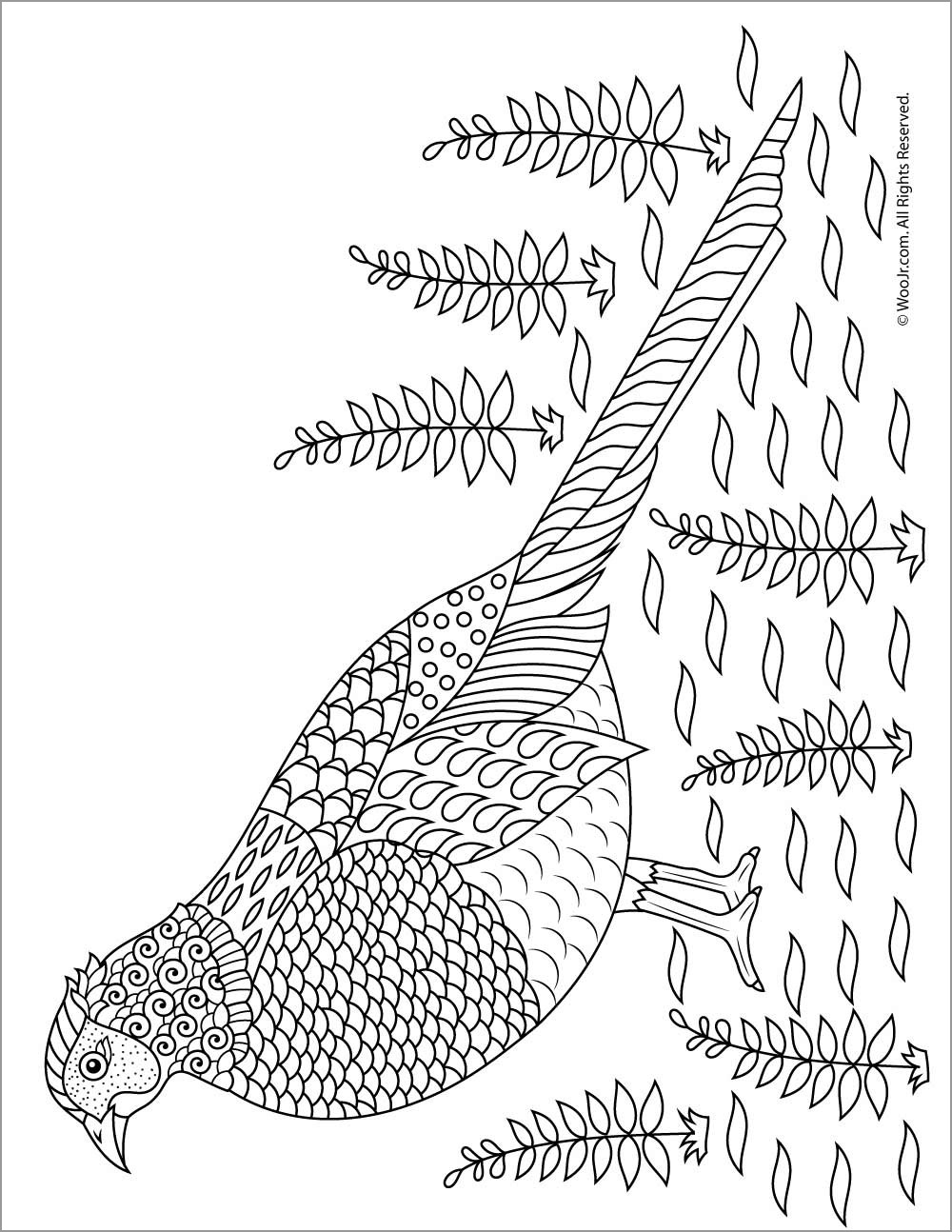 Pheasant Adult Coloring Page