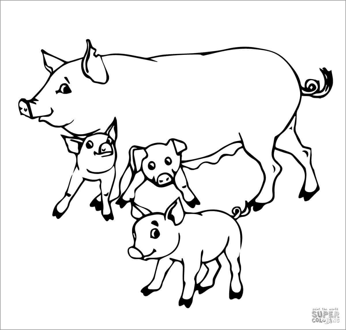 Pig Family Mother and Baby Pigs Coloring Page
