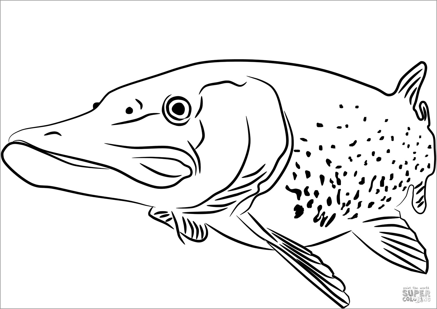 Pike Fish Coloring Page