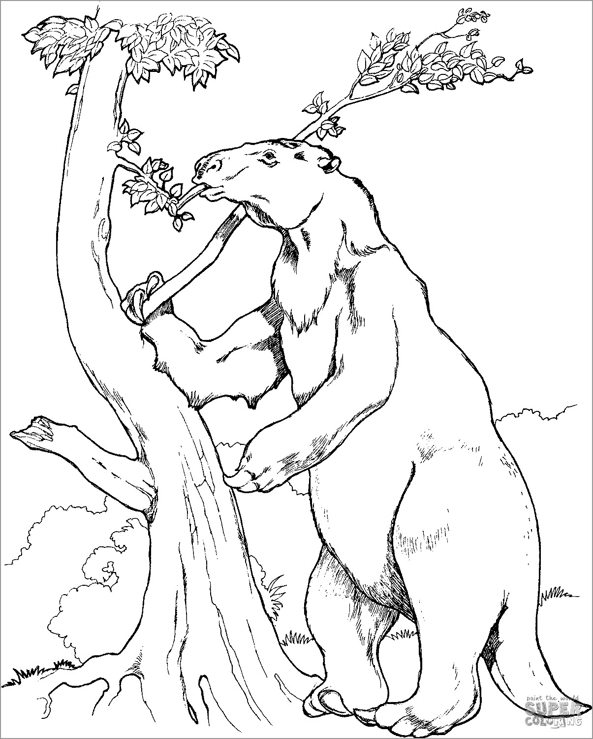 Prehistoric Giant Ground Sloth Coloring Page