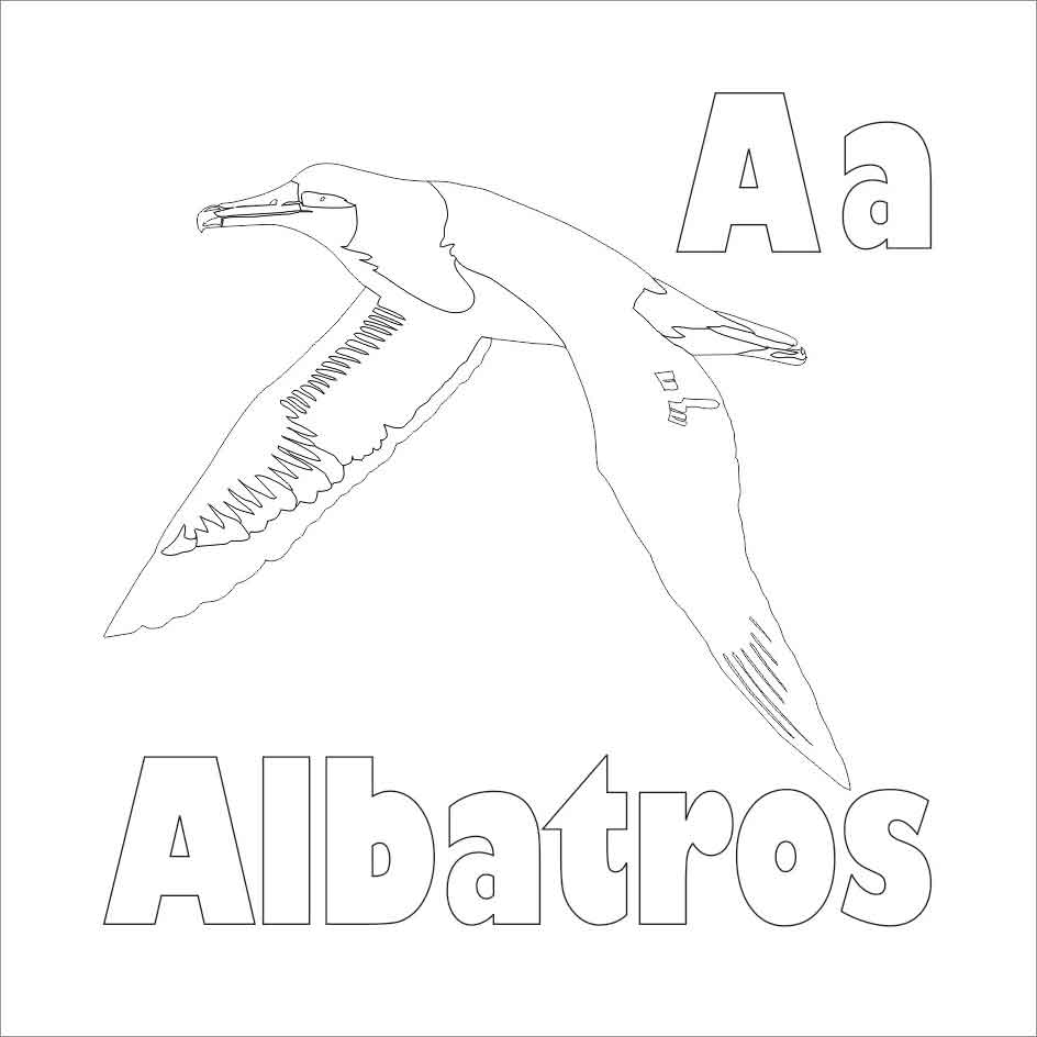 Printable Albatross Coloring Pages