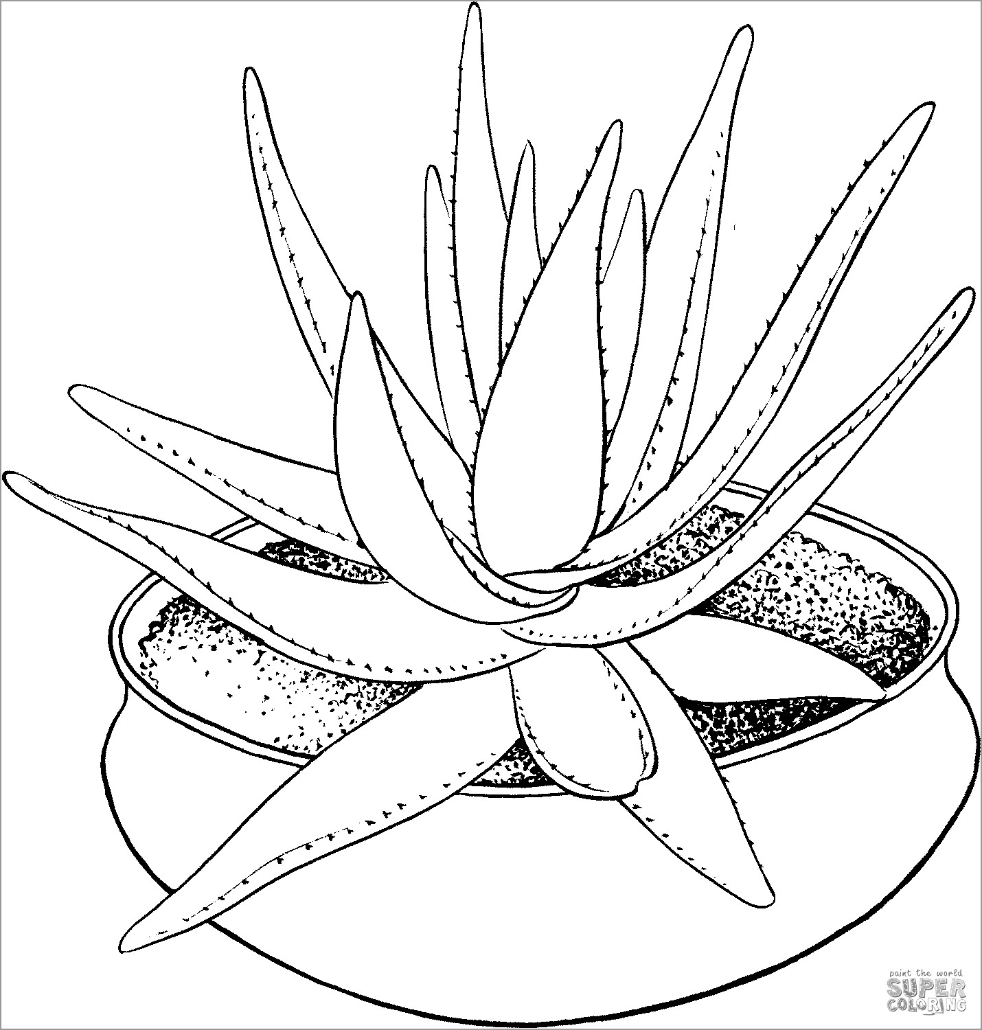 Printable Aloe Coloring Page