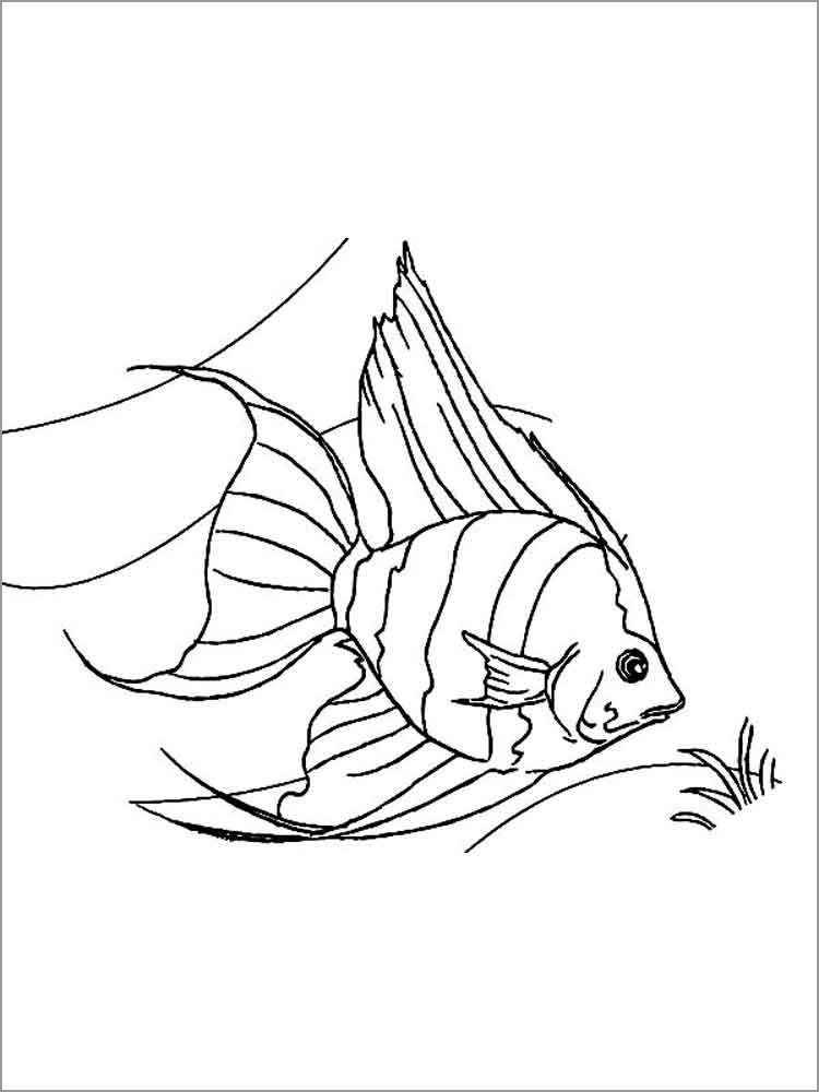 Printable Angelfish Coloring Page