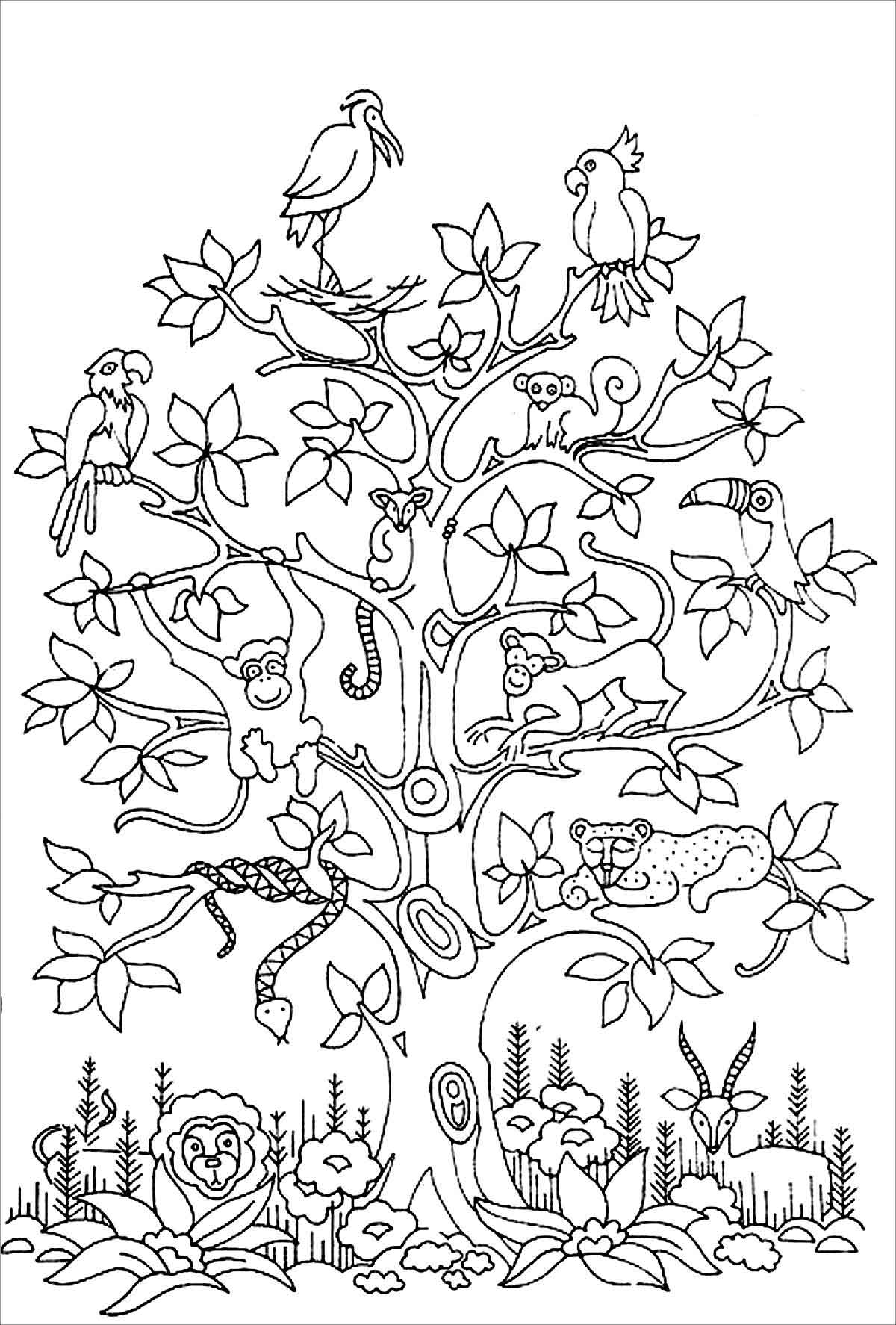 Animals Lives on Trees Coloring Pages