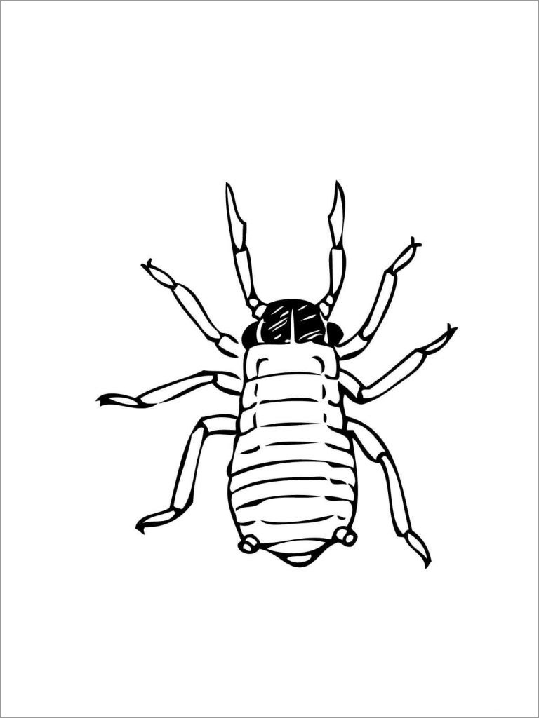 Printable Aphids Coloring Pages