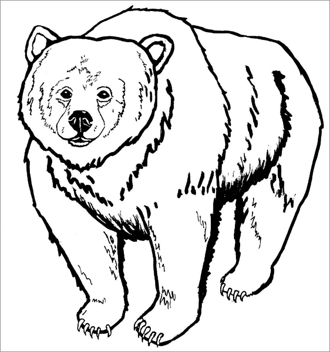 Printable Bear Coloring Page