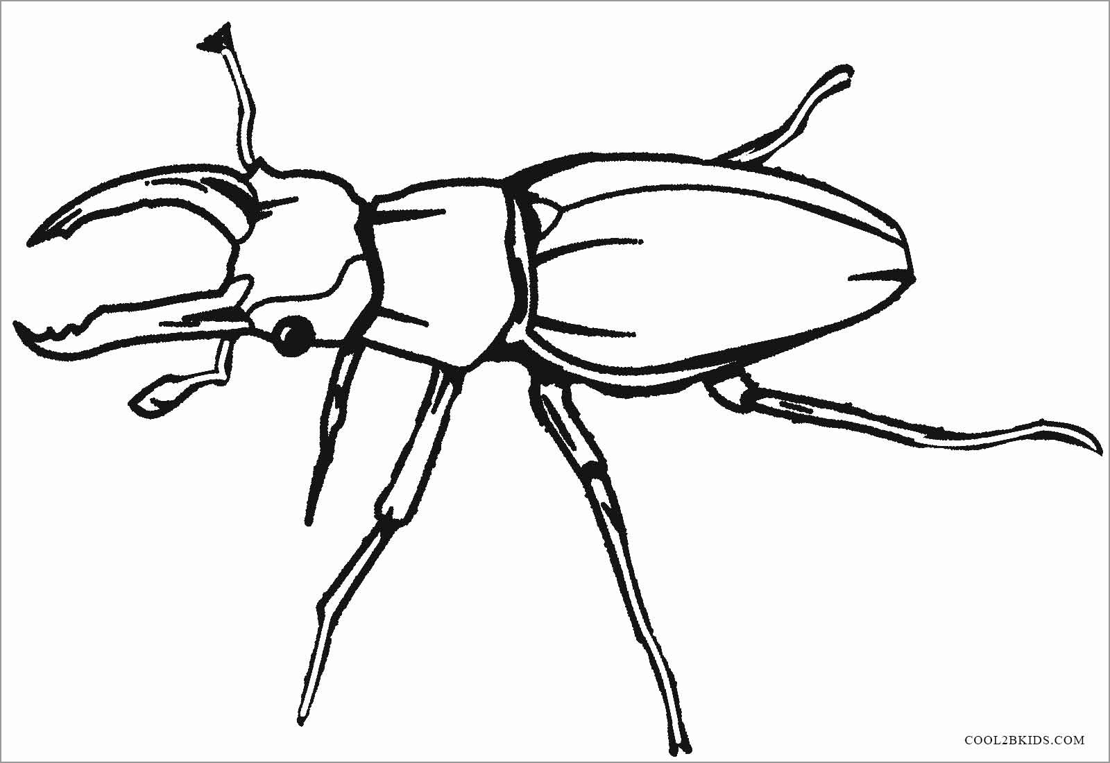 Printable Bug Insects Coloring Pages for Kids