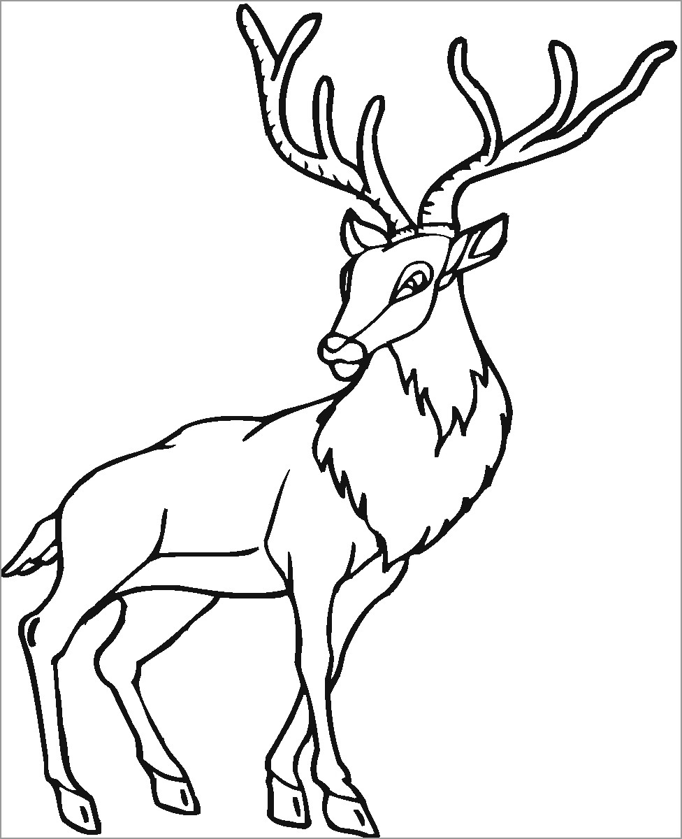 Printable Caribou Coloring Page