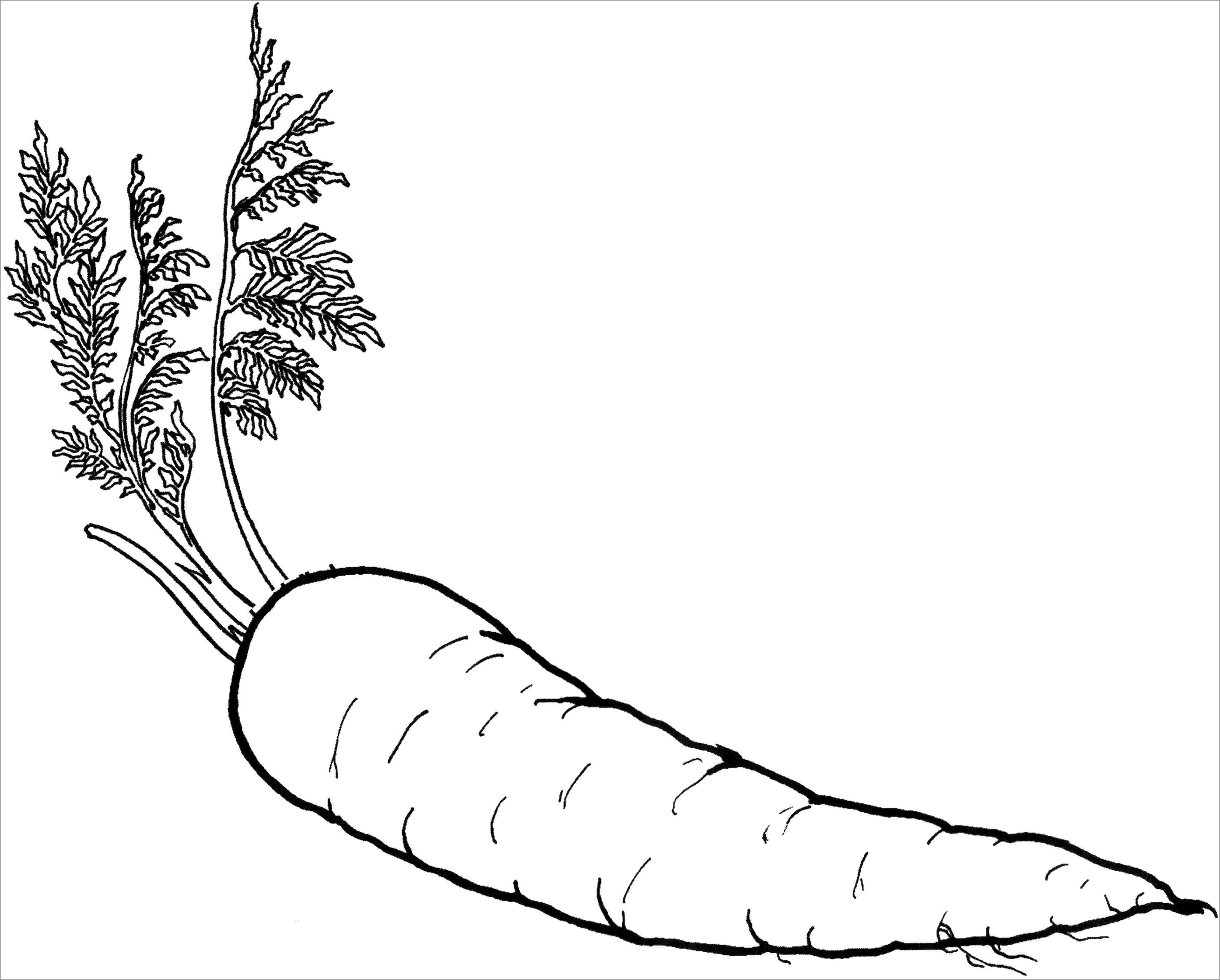 Printable Carrot Coloring Page for Kids
