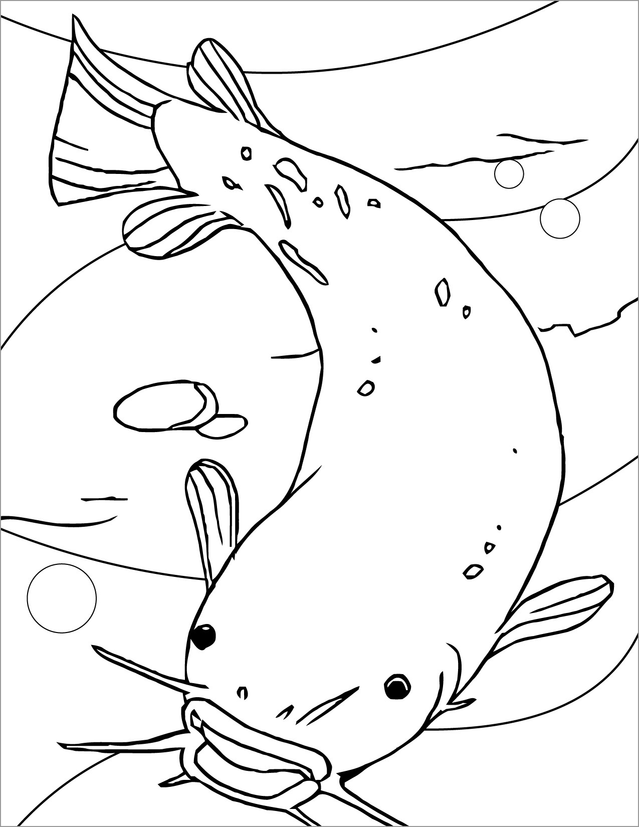 Printable Catfish Coloring Page