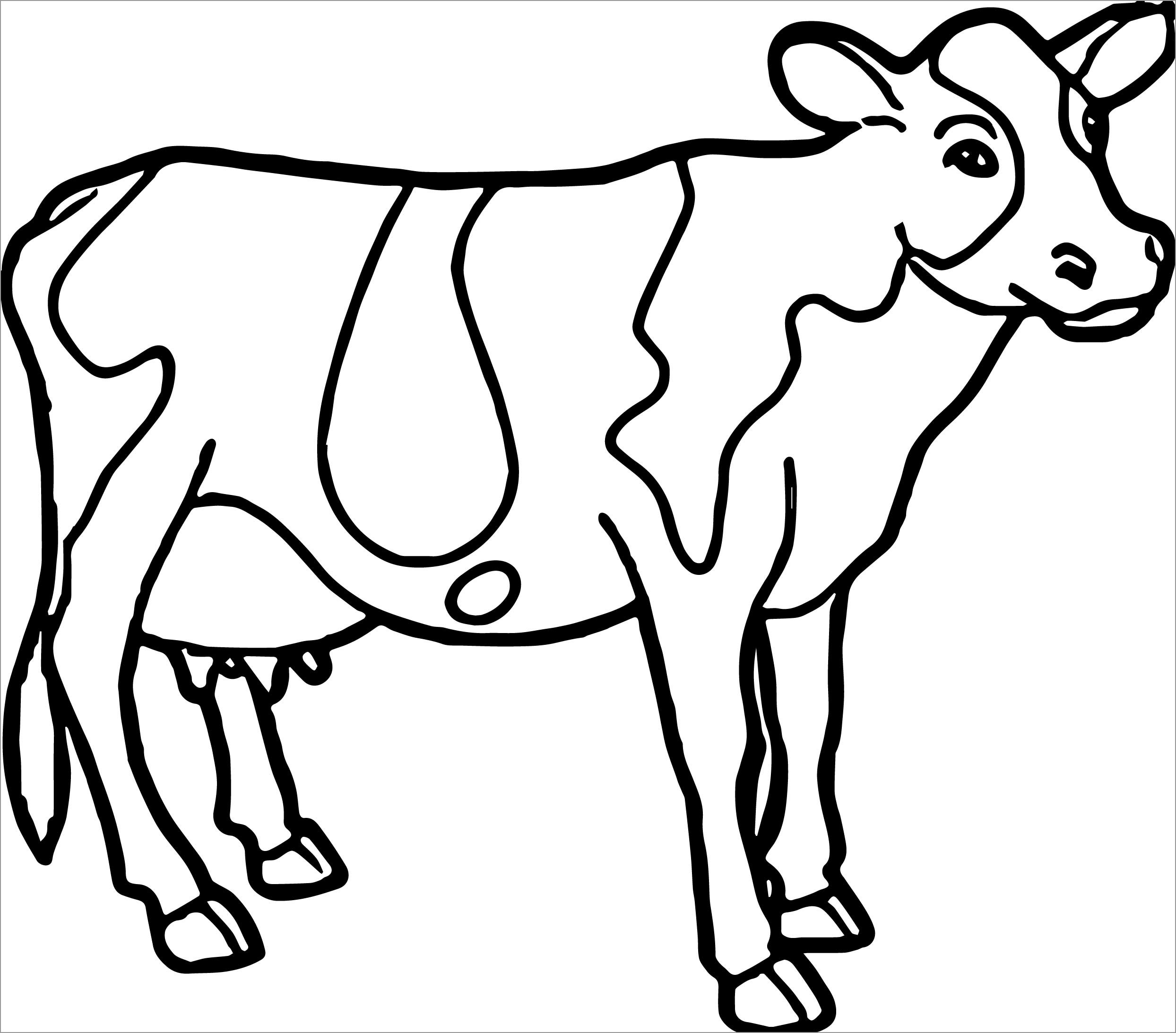 Printable Cattle Coloring Page