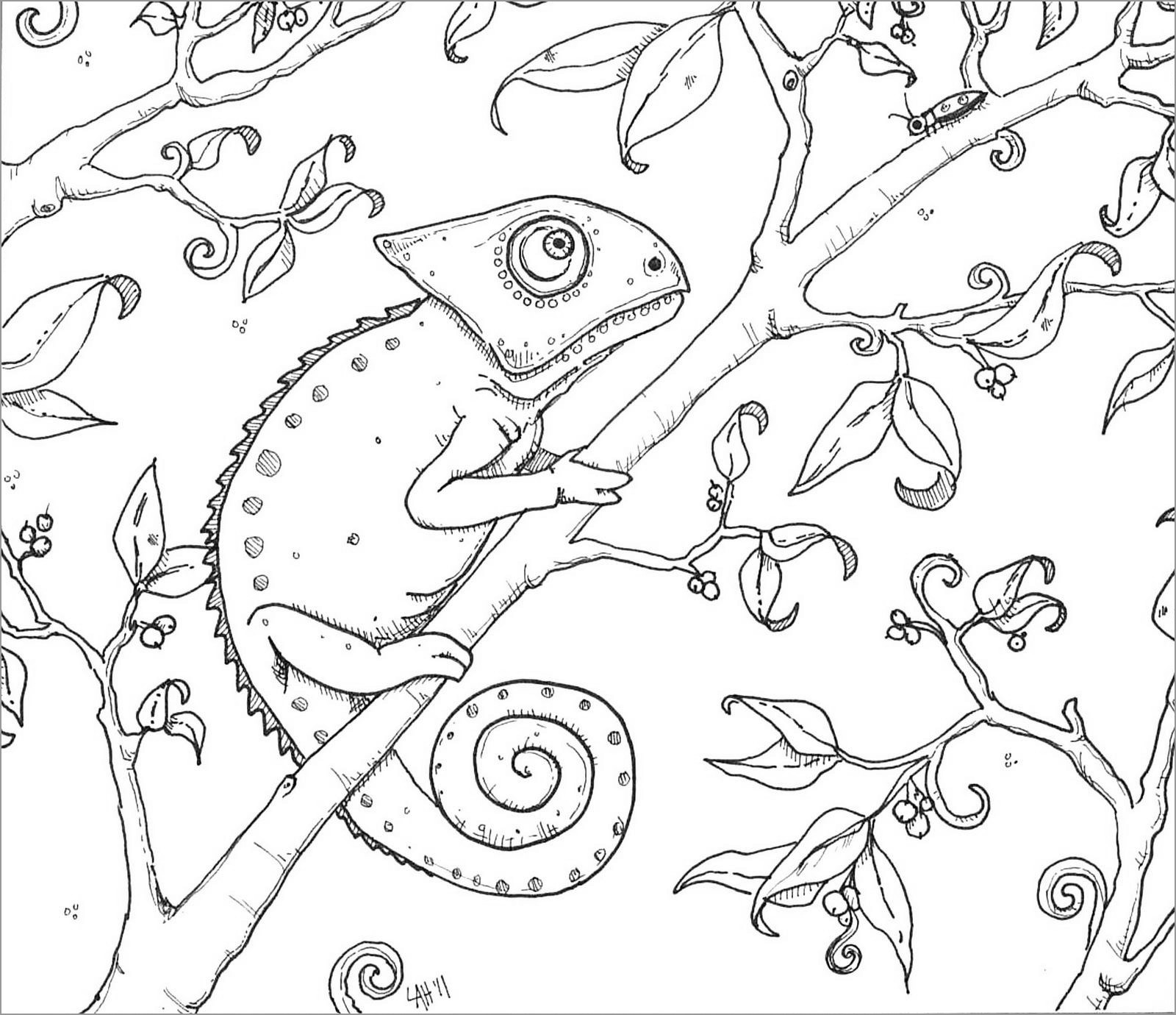 Printable Chameleon Coloring Page