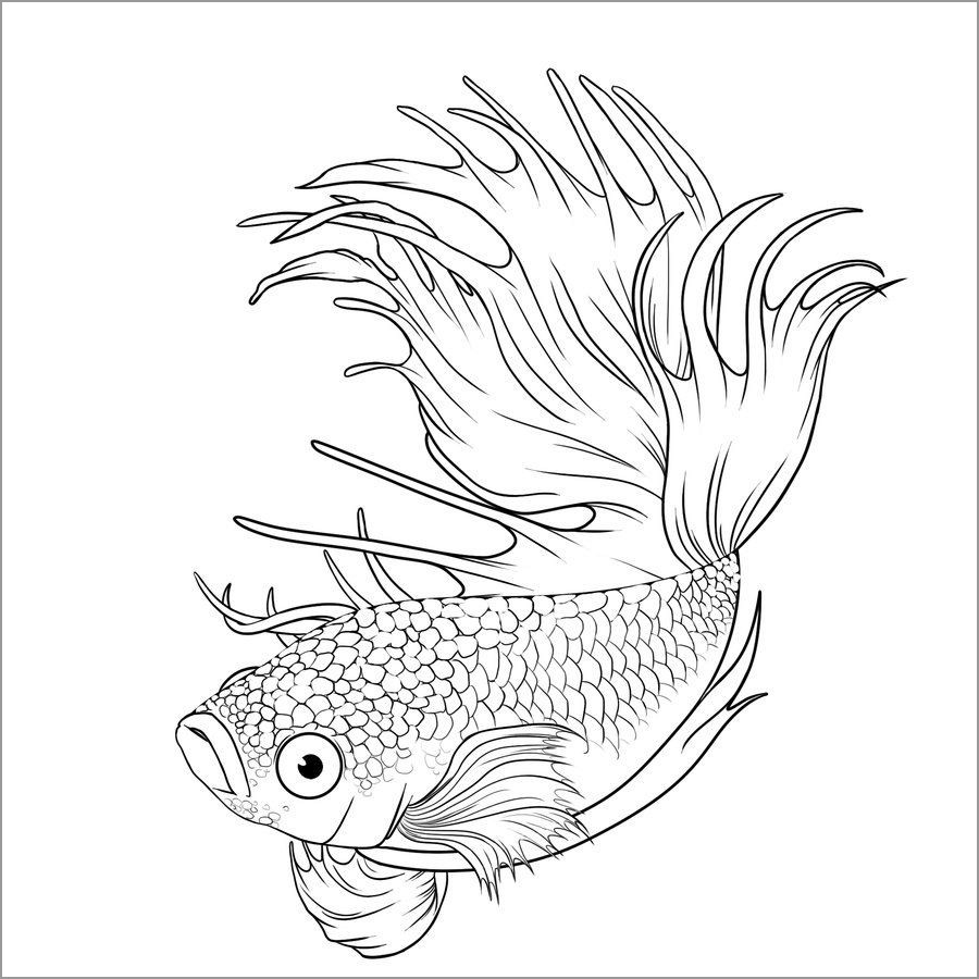 Printable Coloring Page Of Betta Fish
