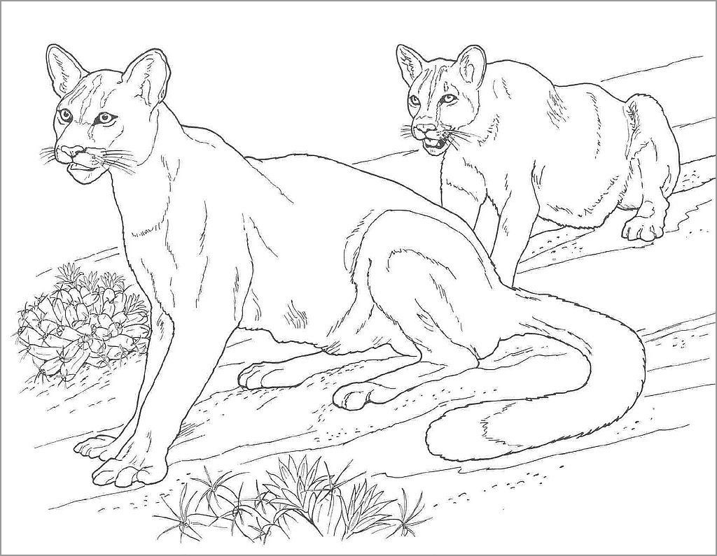 Printable Cougar Coloring Page