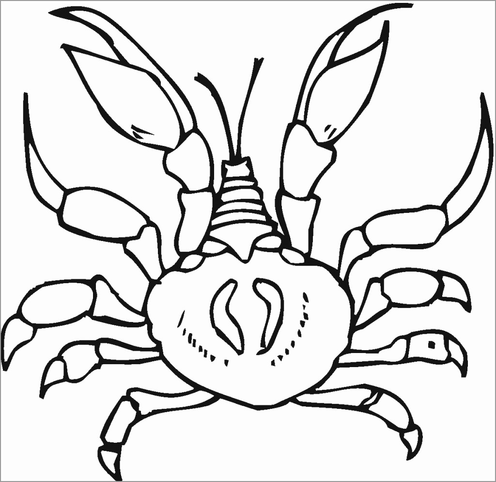 Printable Crab Coloring Page Hard
