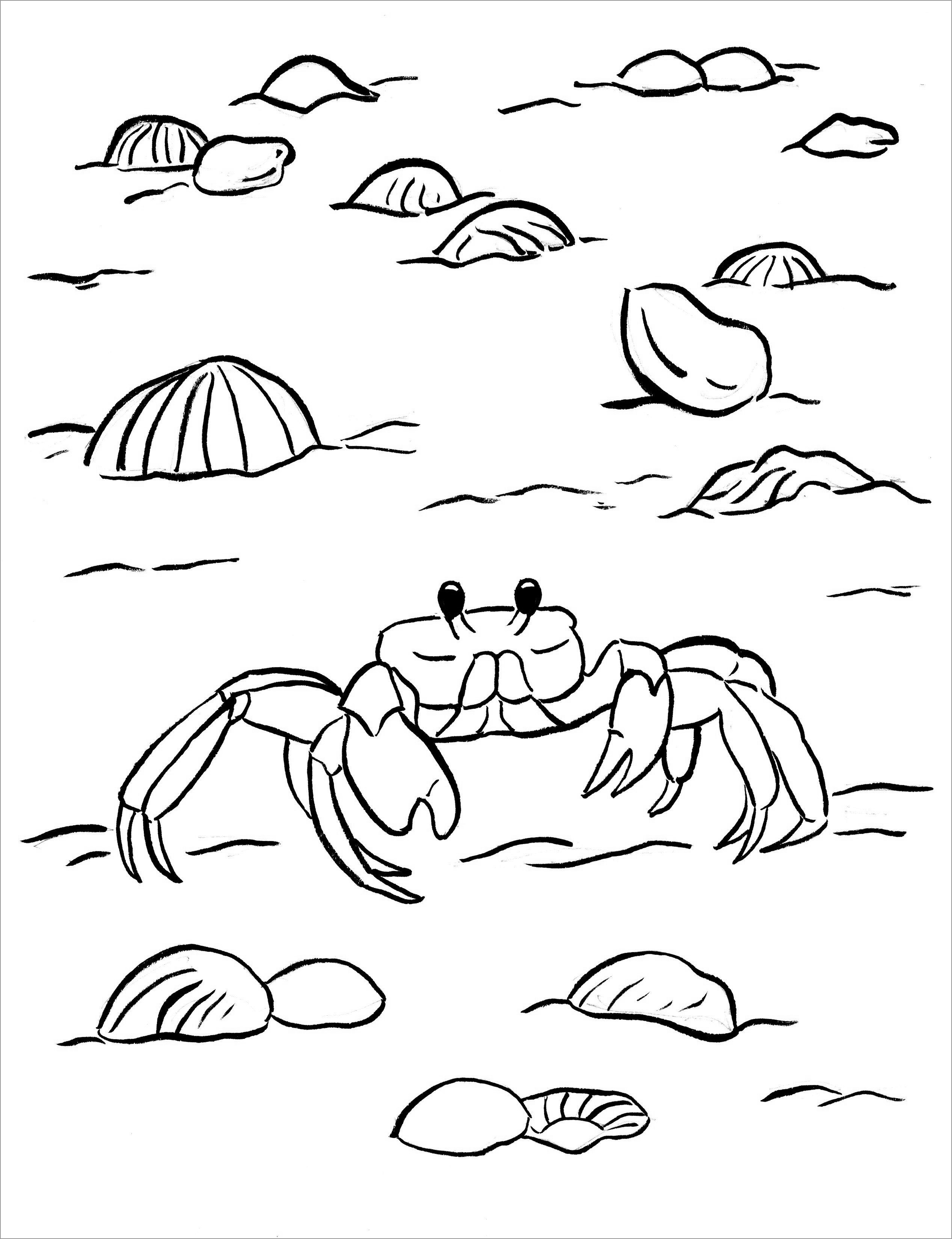 Printable Crab Coloring Page Coloringbay