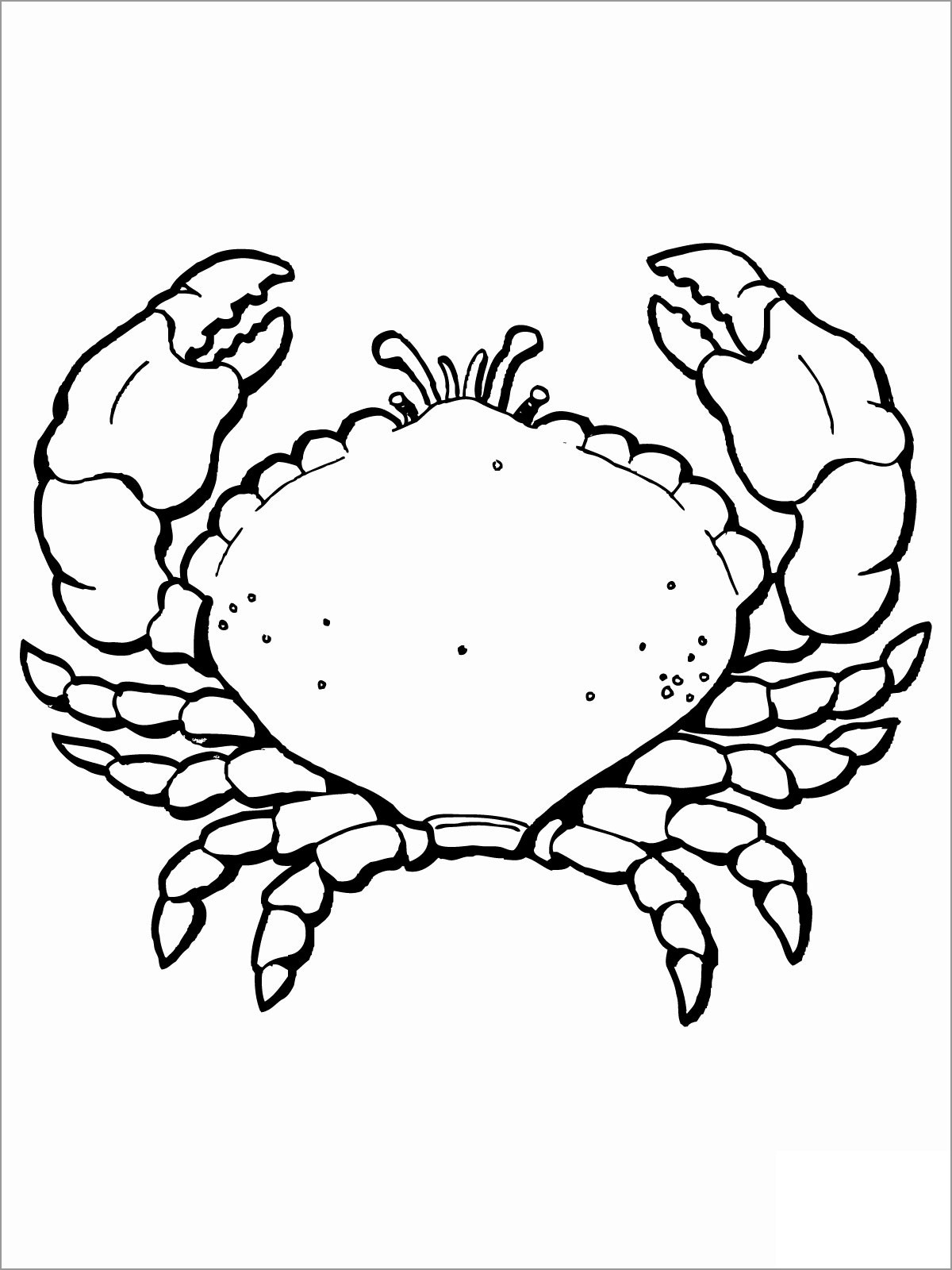 Printable Crab Coloring Pages for Kids