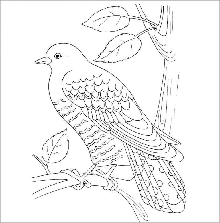 Owl Coloring Pages - ColoringBay