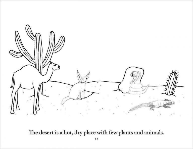 Desert Animal Camel Coloring Page for Adult - ColoringBay