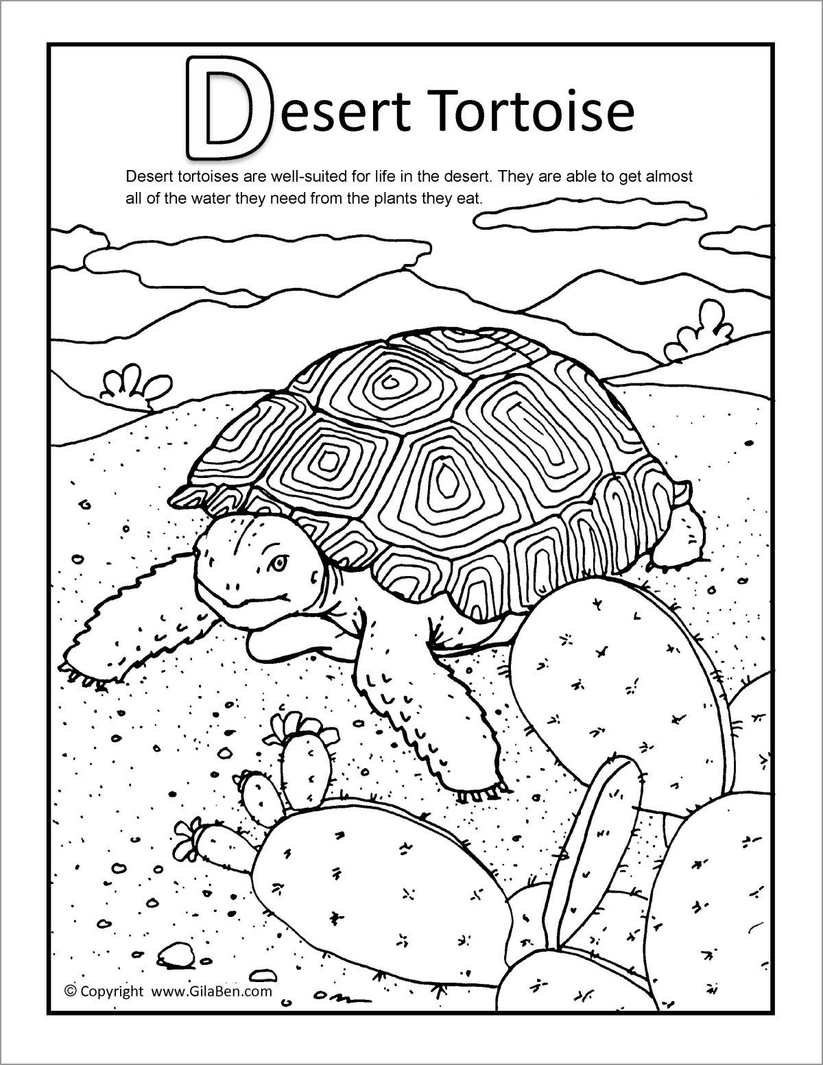 Printable Desert tortoise Coloring Page