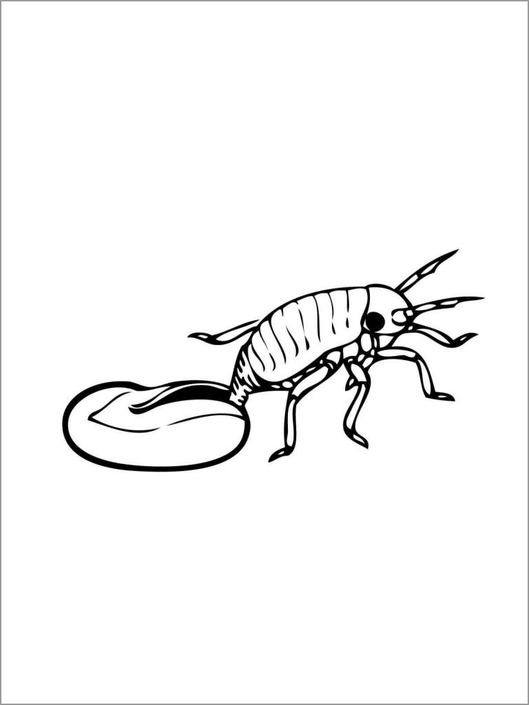 Printable Hatching Aphid Coloring Page