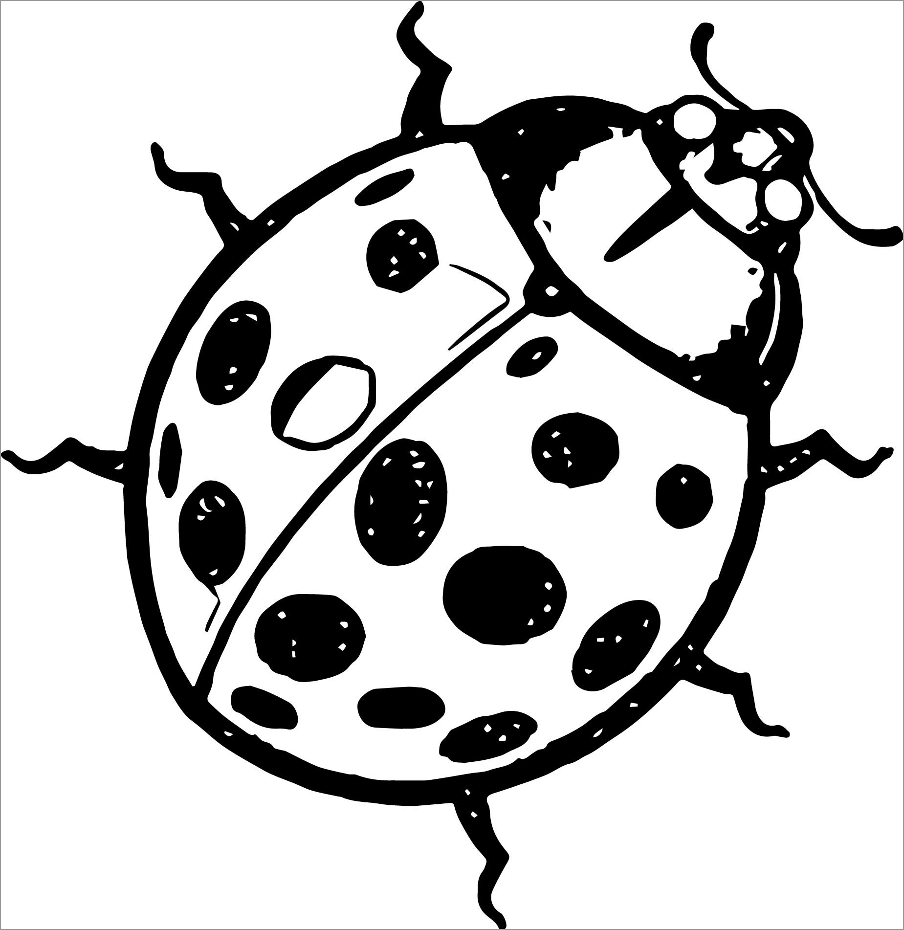 Printable Insect Coloring Page