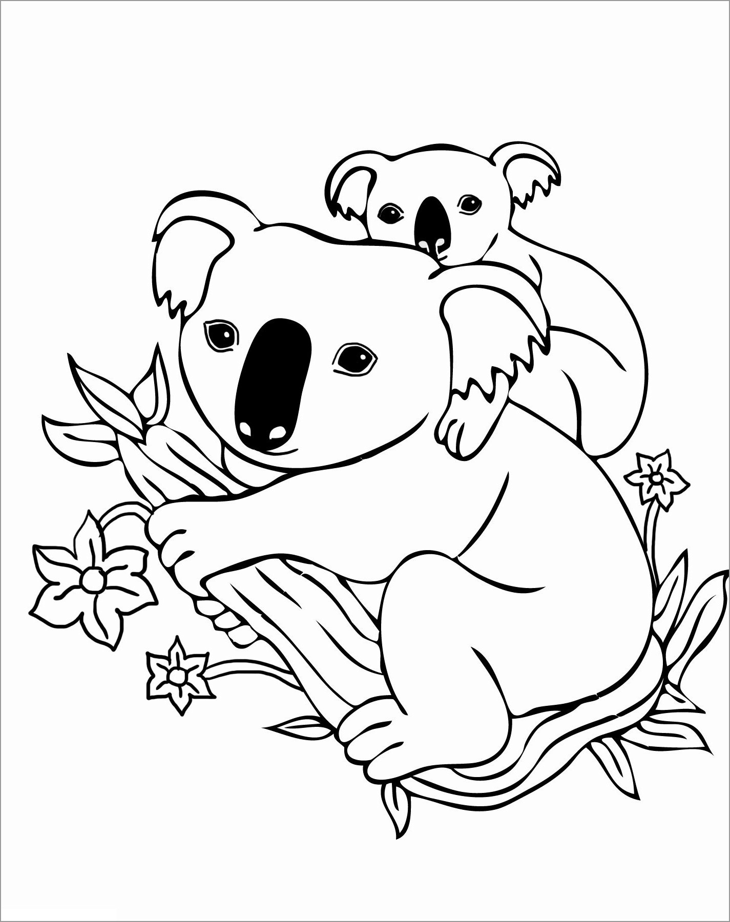 Printable Koala Coloring Page   ColoringBay