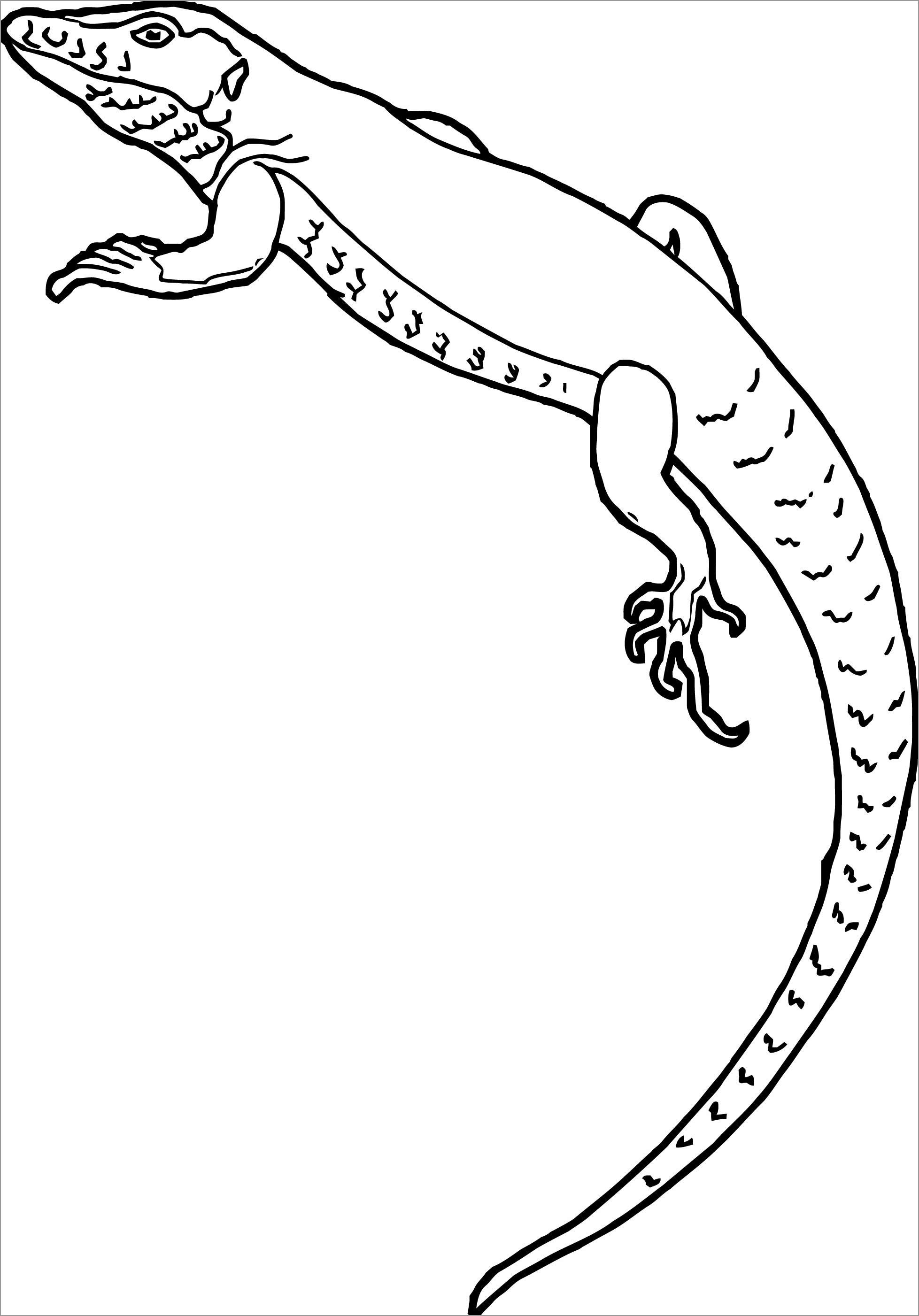 Printable Lizard Coloring Page