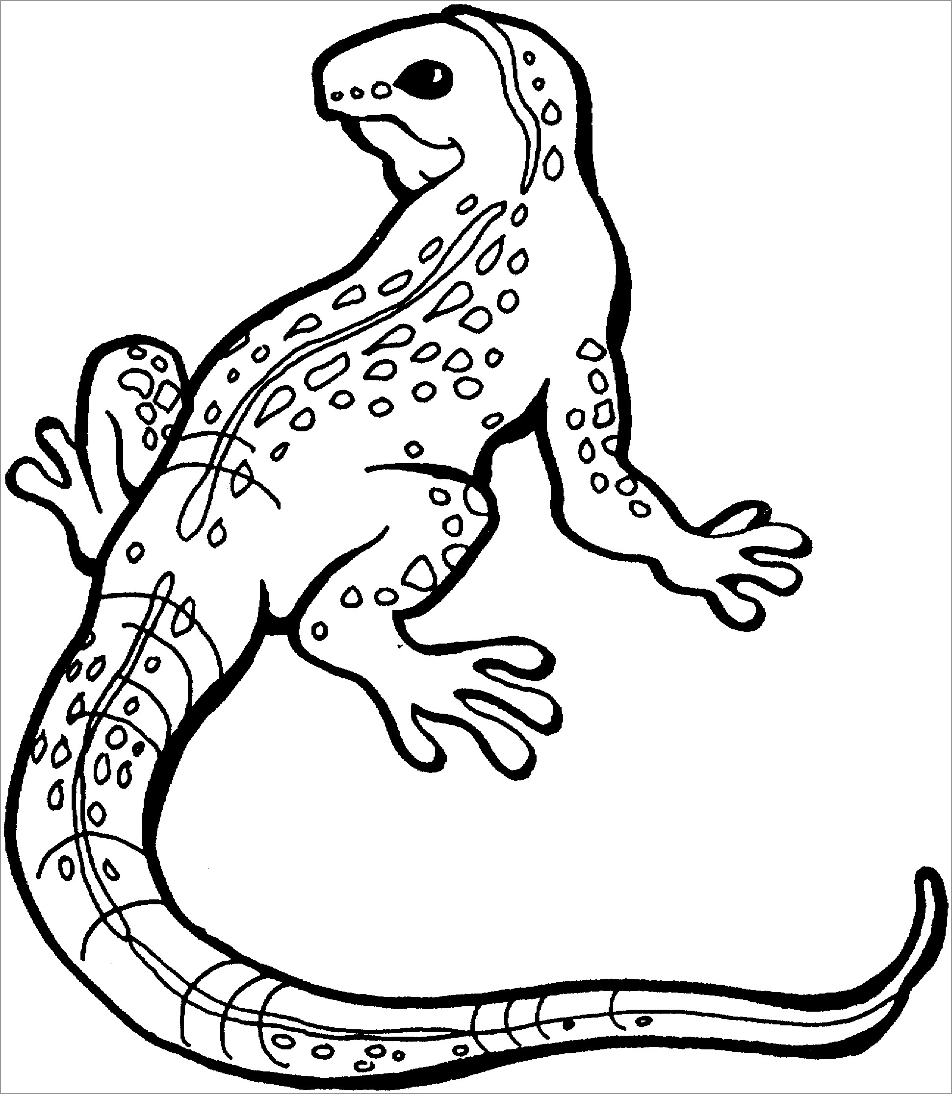 New Cute Lizard Coloring Pages with simple drawing