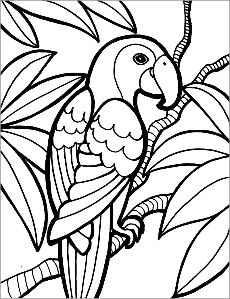 Printable Macaw Coloring Page