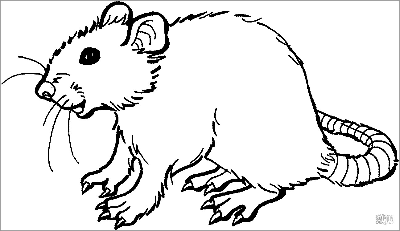 Mole Rat Coloring Pages