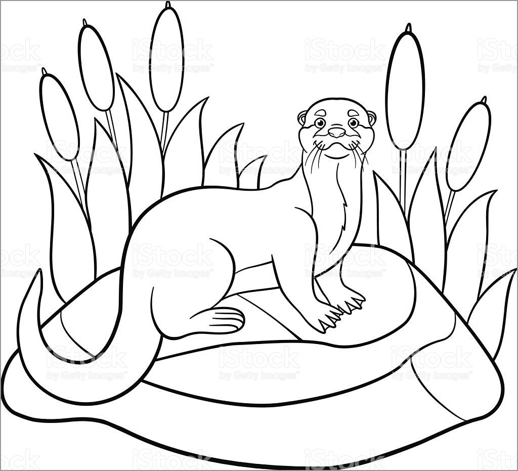 Printable Otter Coloring Page   ColoringBay