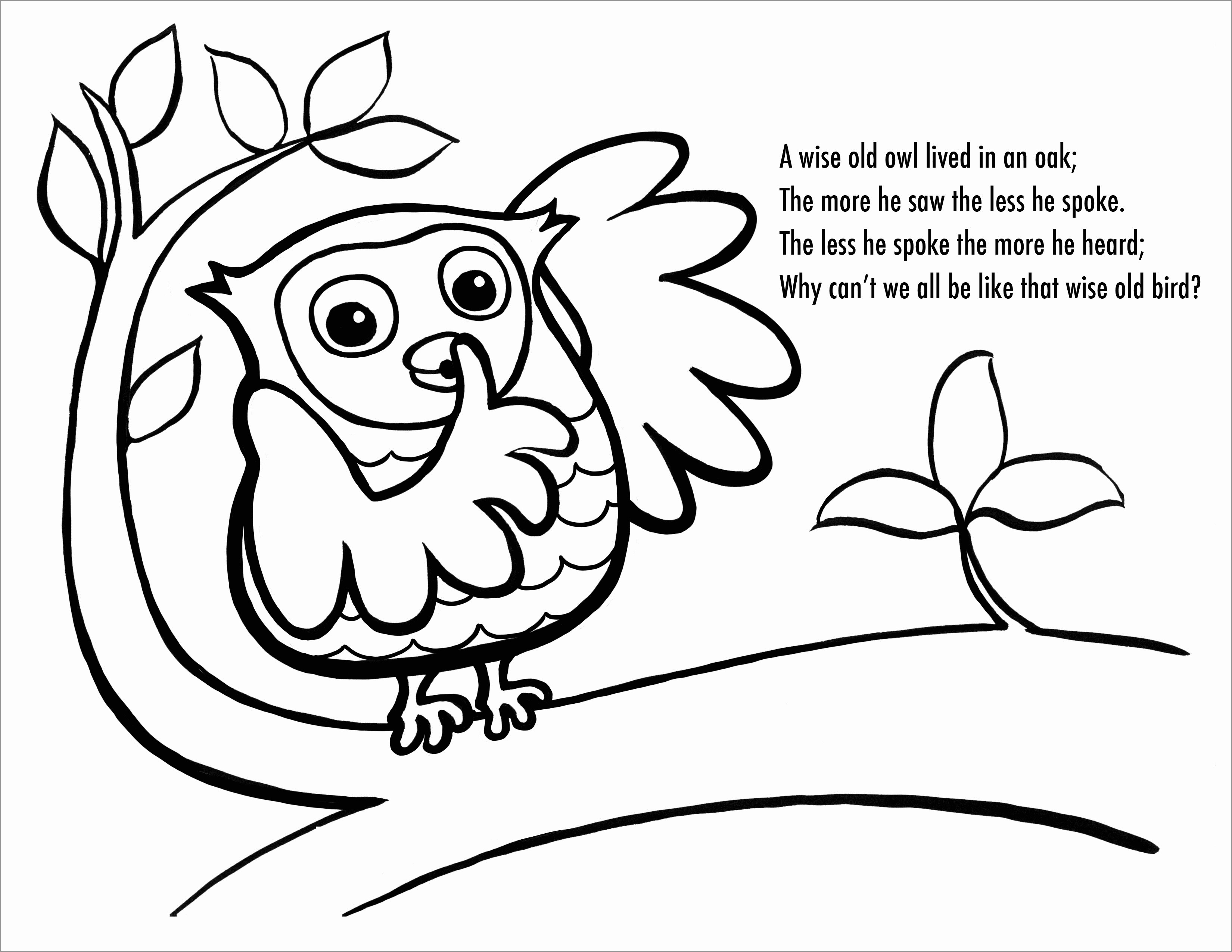 Printable Owl Coloring Page for Kids