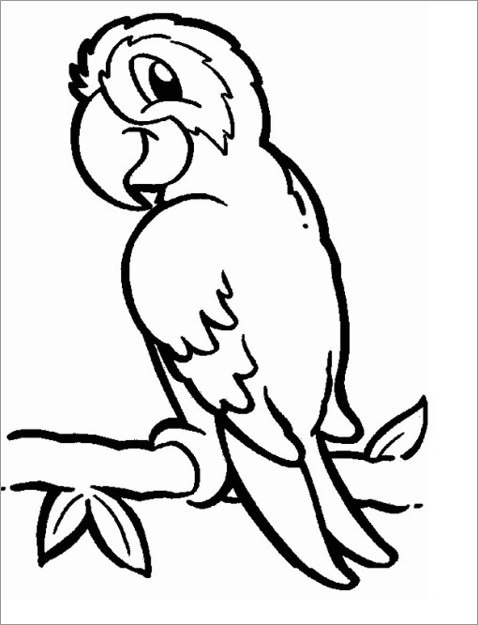 Printable Parrot Coloring Page to Print