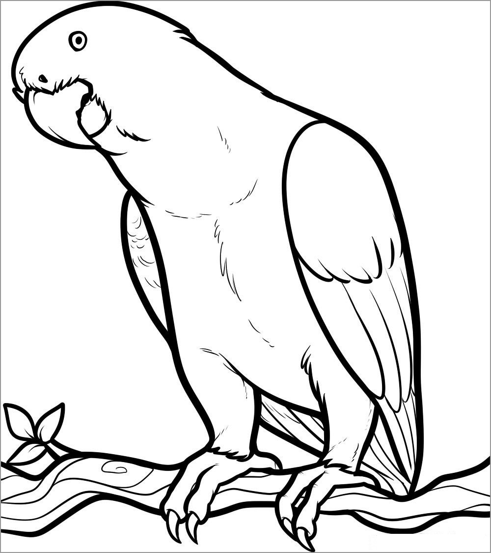 Printable Parrot Coloring Pages for Kids