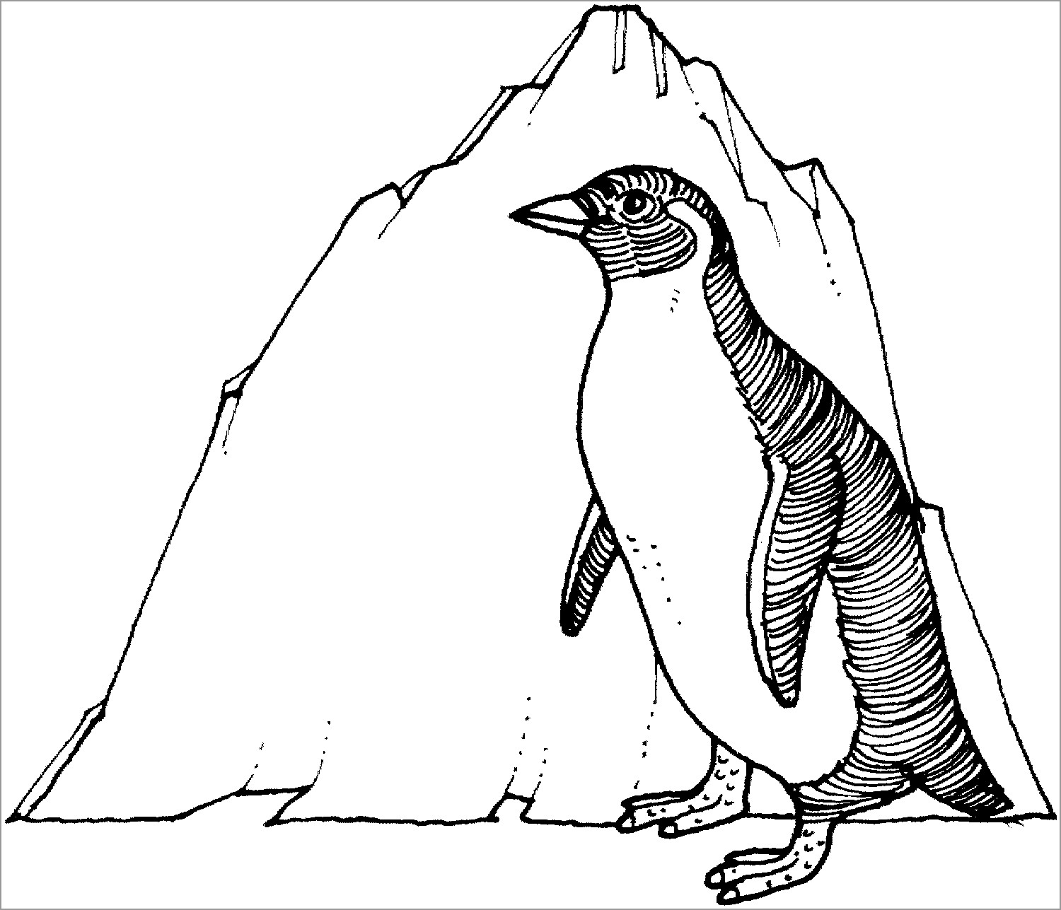 Penguin Coloring Pages ColoringBay