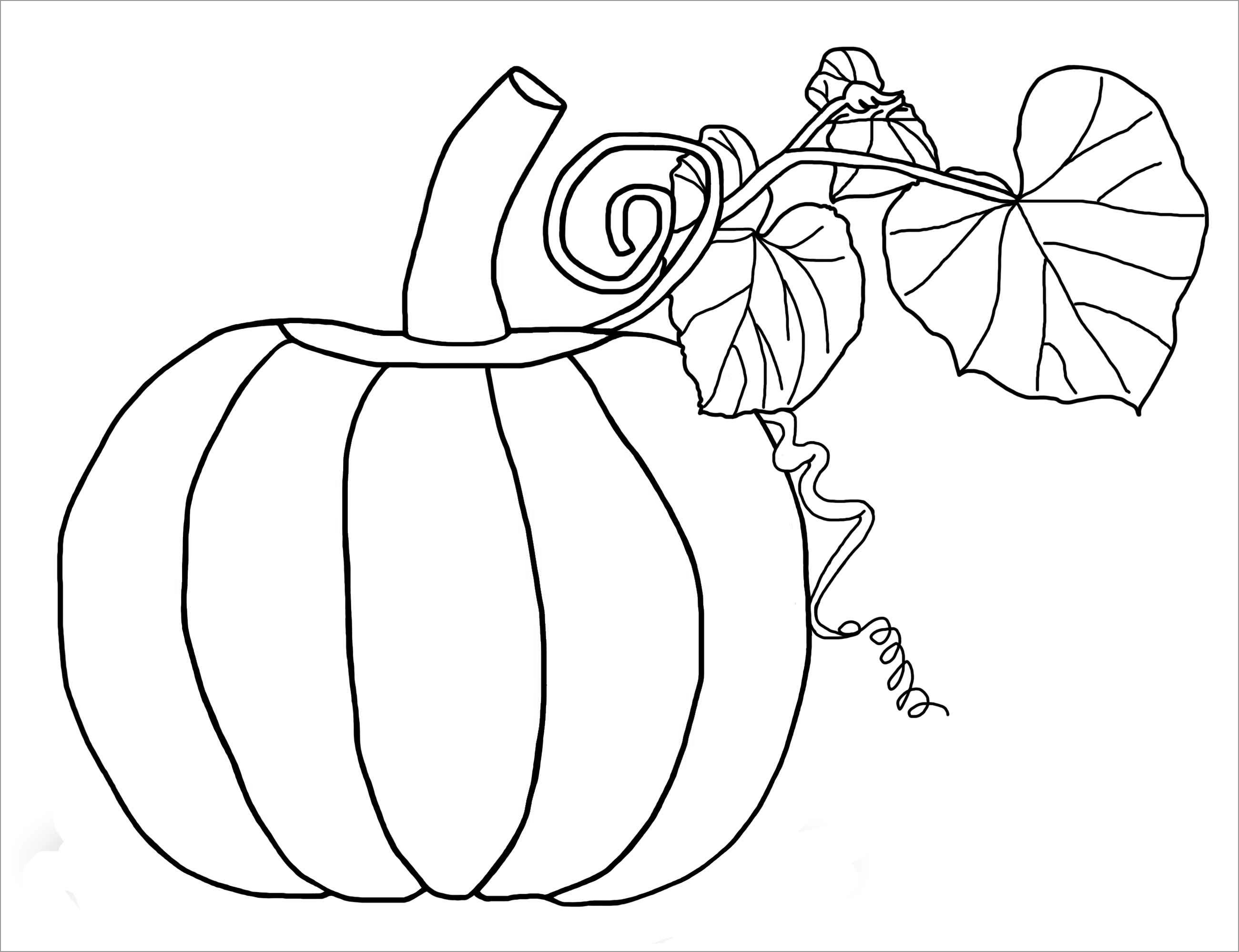 Printable Pumpkins Coloring Pages for Kids