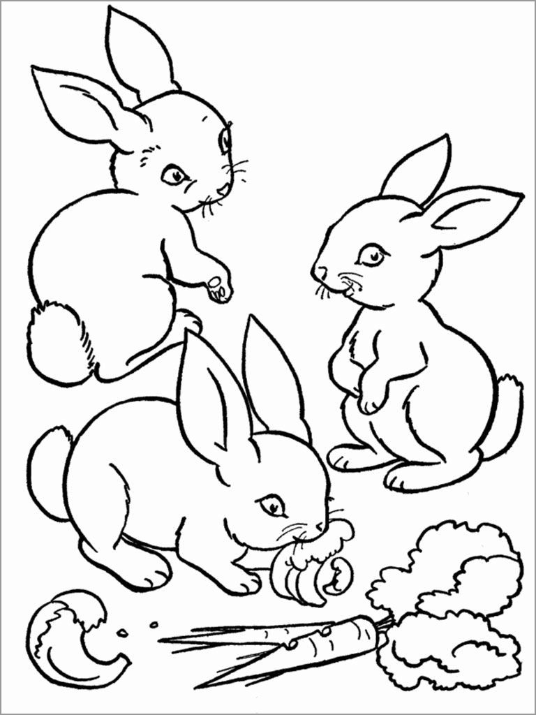 Printable Rabbit Coloring Page for Kids