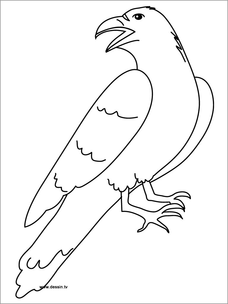 Printable Raven Coloring Page