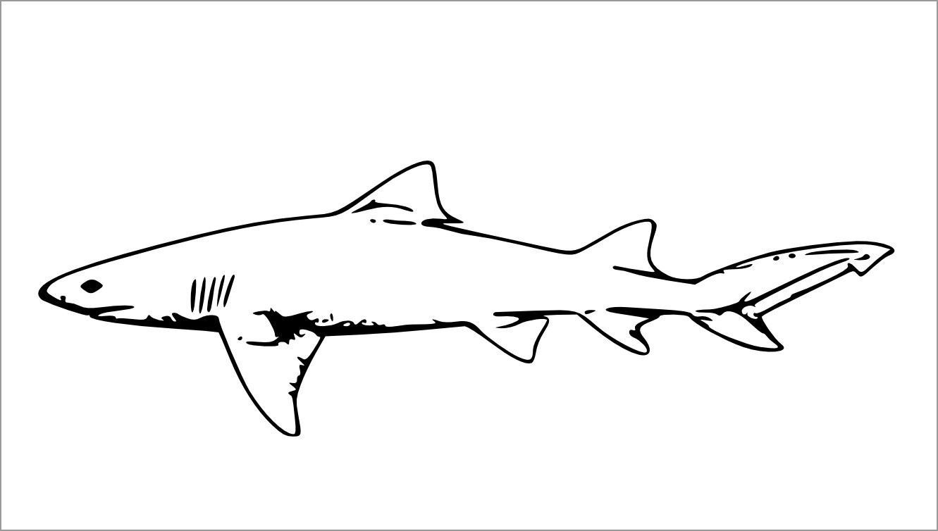 Printable Realistic Shark Coloring Pages for Kids