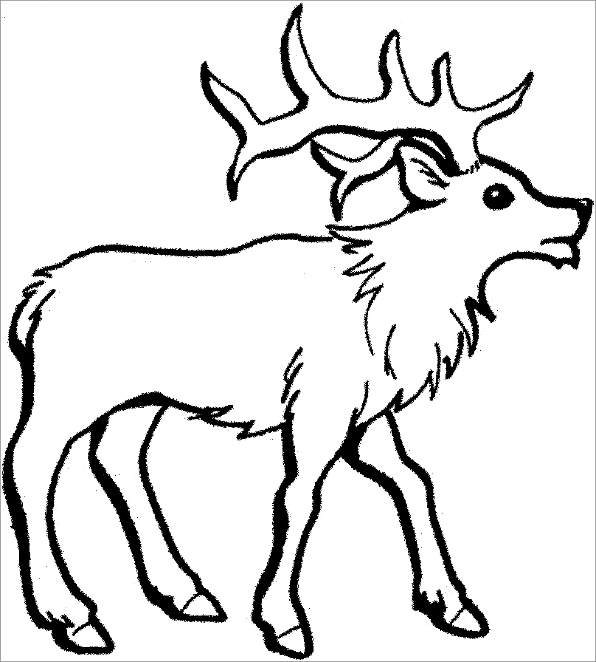Printable Reindeer Caribou Coloring Page