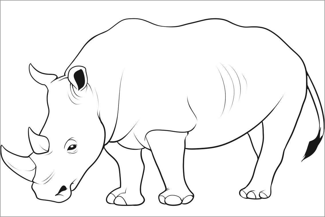 Printable Rhino Coloring Page   ColoringBay