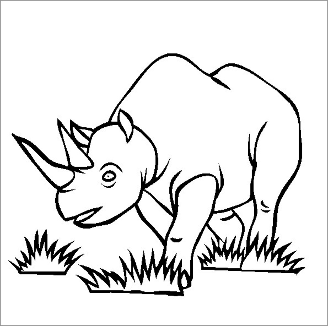 Printable Rhino Coloring Pages for Kids