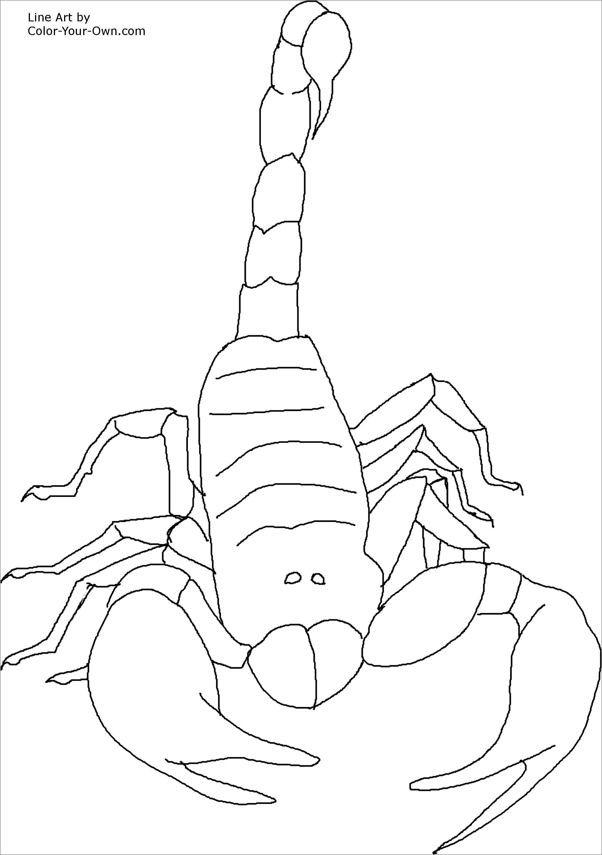 Printable Scorpio Coloring Pages to Print