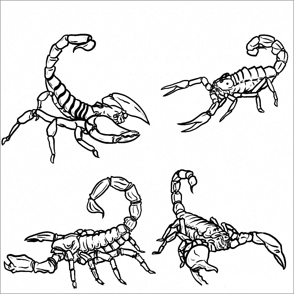 Free Scorpions Coloring Page To Print Coloringbay 900+ vectors, stock photos & psd files. free scorpions coloring page to print