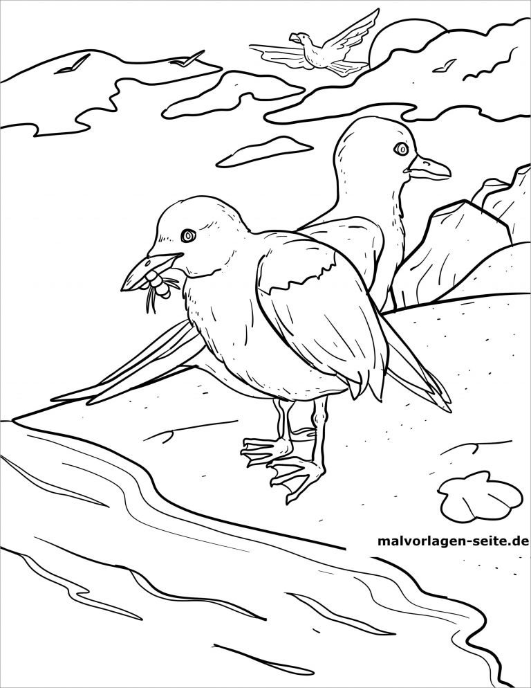 Printable Seagull Coloring Page - ColoringBay